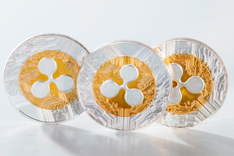 Depositphotos 188322180 m 2015 1 e1550260403721 - Ripple Feeling Pressure? Brad Garlinghouse Speaks Out About JPM Coin