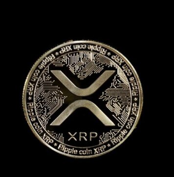 XRP Price 356x364 - Home